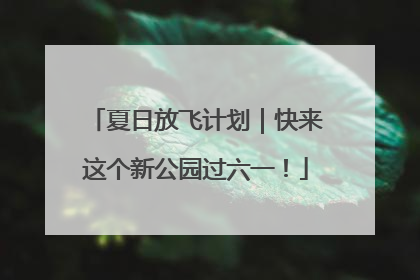 夏日放飞计划｜快来这个新公园过六一！
