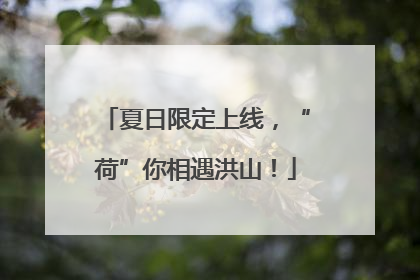 夏日限定上线，“荷”你相遇洪山！
