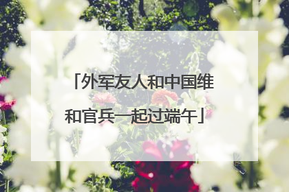 外军友人和中国维和官兵一起过端午