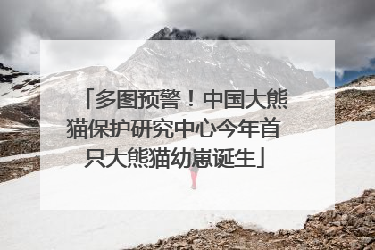 多图预警！中国大熊猫保护研究中心今年首只大熊猫幼崽诞生
