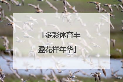 多彩体育丰盈花样年华
