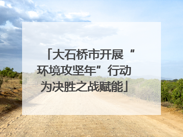 大石桥市开展“环境攻坚年”行动为决胜之战赋能