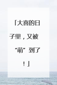 大喜的日子里，又被“萌”到了！