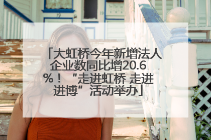 大虹桥今年新增法人企业数同比增20.6%！“走进虹桥 走进进博”活动举办