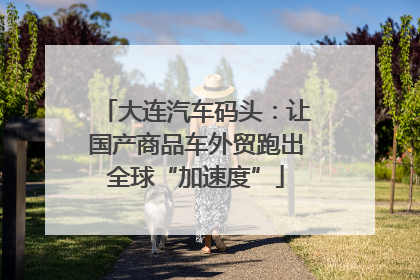 大连汽车码头：让国产商品车外贸跑出全球“加速度”
