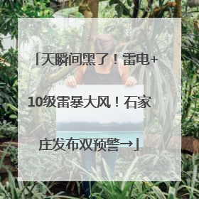 天瞬间黑了！雷电+10级雷暴大风！石家庄发布双预警→