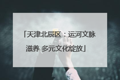 天津北辰区：运河文脉滋养 多元文化绽放