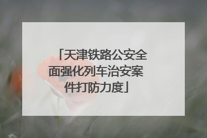 天津铁路公安全面强化列车治安案件打防力度