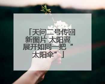 天问二号传回新图片 太阳翼展开如同一把“太阳伞”