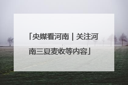 央媒看河南｜关注河南三夏麦收等内容
