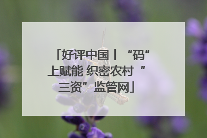 好评中国丨“码”上赋能 织密农村“三资”监管网