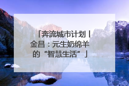 奔流城市计划丨金昌：元生奶绵羊的“智慧生活”
