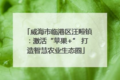 威海市临港区汪疃镇：激活“苹果+” 打造智慧农业生态圈