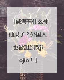 威海有什么神仙果子？外国人也被甜到跺jiojio！