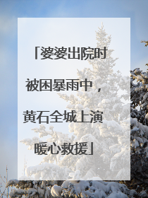 婆婆出院时被困暴雨中，黄石全城上演暖心救援