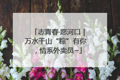 志青春·愿河口｜万水千山“粽”有你，情系外卖员~