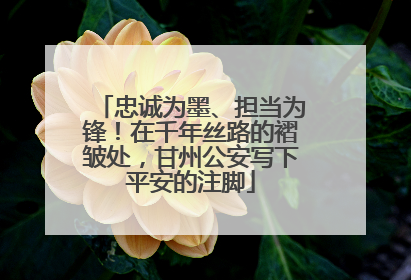 忠诚为墨、担当为锋！在千年丝路的褶皱处，甘州公安写下平安的注脚