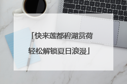 快来莲都碧湖赏荷 轻松解锁夏日浪漫
