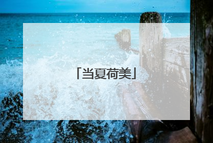 当夏荷美