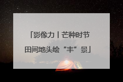 影像力丨芒种时节 田间地头绘“丰”景