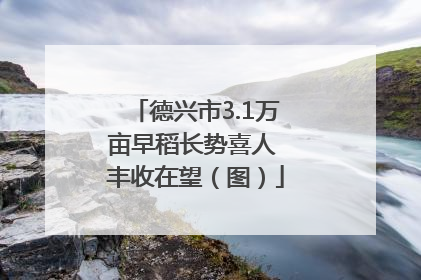 德兴市3.1万亩早稻长势喜人 丰收在望（图）