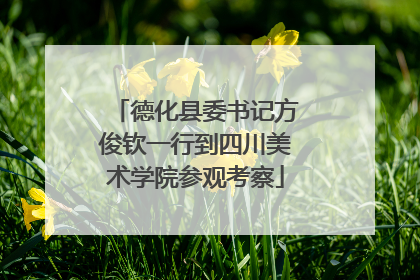 德化县委书记方俊钦一行到四川美术学院参观考察