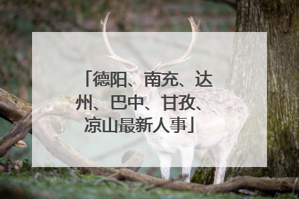 德阳、南充、达州、巴中、甘孜、凉山最新人事