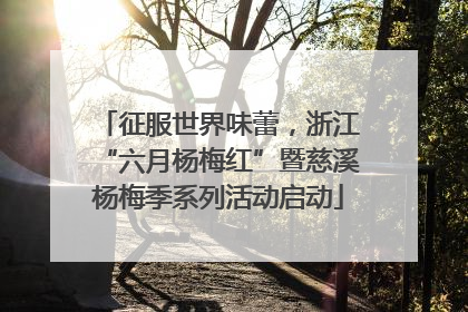 征服世界味蕾，浙江“六月杨梅红”暨慈溪杨梅季系列活动启动