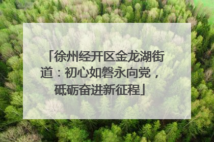 徐州经开区金龙湖街道：初心如磐永向党，砥砺奋进新征程