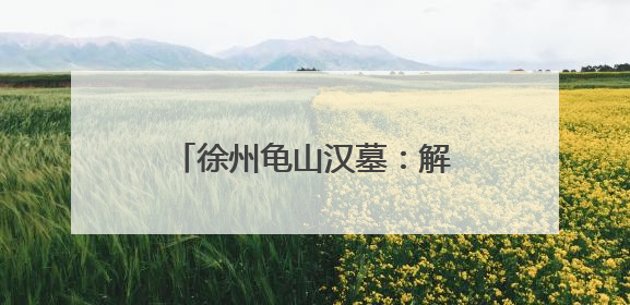 徐州龟山汉墓：解码东方文明，穿越千年的未解之谜