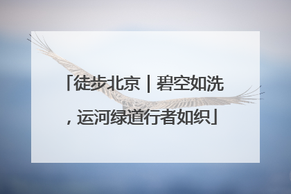 徒步北京｜碧空如洗，运河绿道行者如织