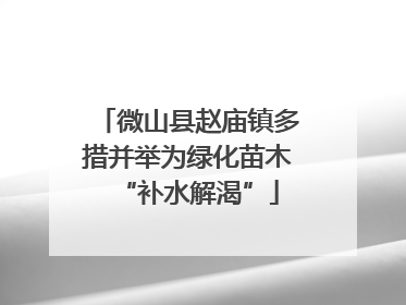 微山县赵庙镇多措并举为绿化苗木“补水解渴”