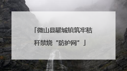 微山县驩城镇筑牢秸秆禁烧“防护网”