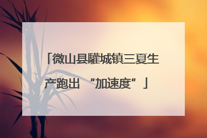 微山县驩城镇三夏生产跑出 “加速度”