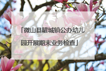 微山县驩城镇公办幼儿园开展期末业务检查