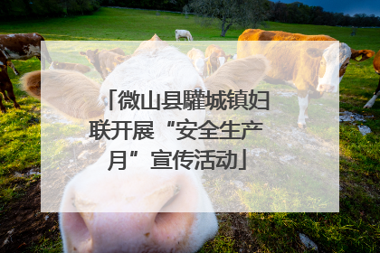 微山县驩城镇妇联开展“安全生产月”宣传活动