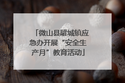 微山县驩城镇应急办开展“安全生产月”教育活动