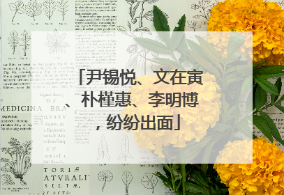 尹锡悦、文在寅、朴槿惠、李明博，纷纷出面