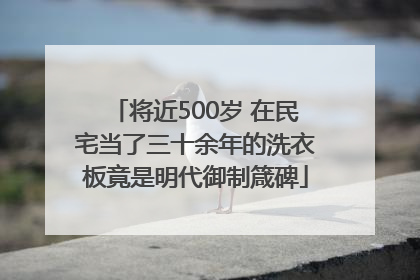 将近500岁 在民宅当了三十余年的洗衣板竟是明代御制箴碑
