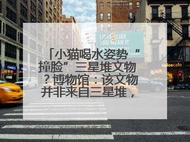 小猫喝水姿势“撞脸”三星堆文物？博物馆：该文物并非来自三星堆，有可能是它