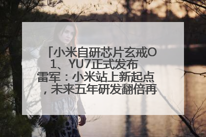 小米自研芯片玄戒O1、YU7正式发布 雷军：小米站上新起点，未来五年研发翻倍再投2000亿元