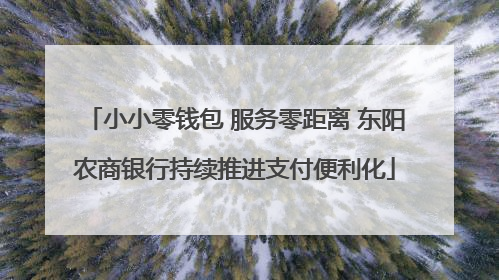 小小零钱包 服务零距离 东阳农商银行持续推进支付便利化