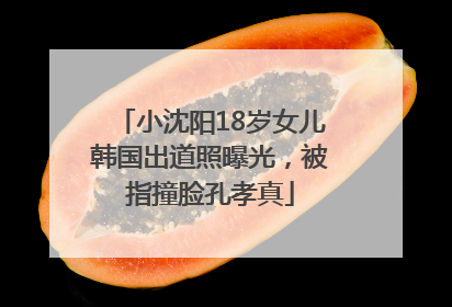 小沈阳18岁女儿韩国出道照曝光，被指撞脸孔孝真