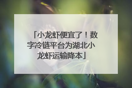 小龙虾便宜了！数字冷链平台为湖北小龙虾运输降本