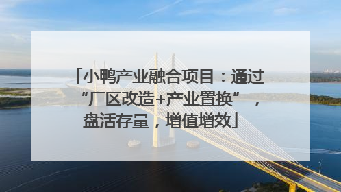 小鸭产业融合项目：通过“厂区改造+产业置换”，盘活存量，增值增效