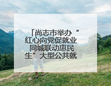 尚志市举办“红心向党促就业 同城联动惠民生”大型公共就业服务活动
