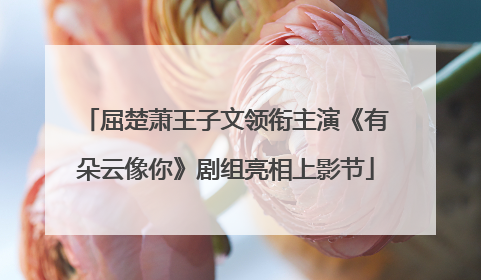 屈楚萧王子文领衔主演《有朵云像你》剧组亮相上影节