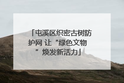 屯溪区织密古树防护网 让“绿色文物”焕发新活力