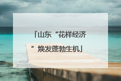 山东“花样经济”焕发蓬勃生机