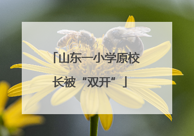 山东一小学原校长被“双开”